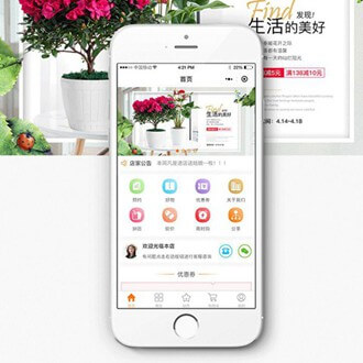 忠县门店微商城小程序开发